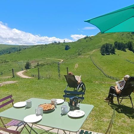 Gite Avec Vue Exceptionnelle Sur Les Montagnes Camurac Eksteriør billede