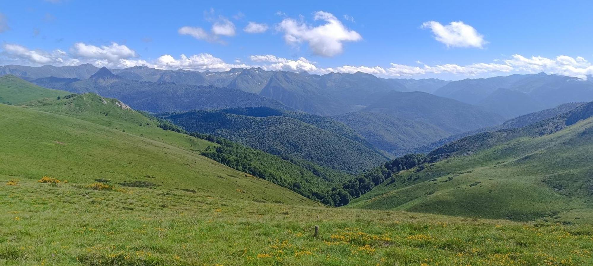 Gite Avec Vue Exceptionnelle Sur Les Montagnes Camurac Eksteriør billede
